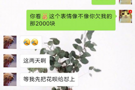 江北区江北区专业催债公司，专业催收